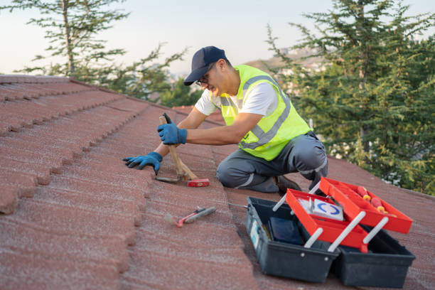 Best Roof Maintenance Services  in North Kansas City, MO